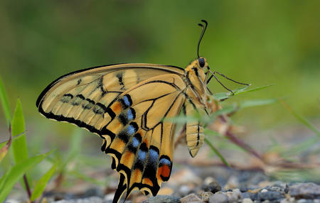 Fotografia: Greg Peterson (CC BY-NC-SA / Visual Hunt)