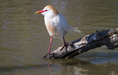 Fotografia: squallidon (CC BY-NC-SA / Visual Hunt)